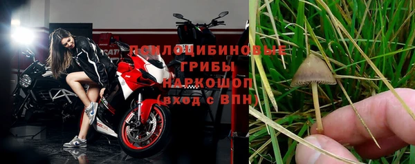 каннабис Баксан