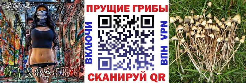 Псилоцибиновые грибы Magic Shrooms  Купить где  Лакинск 